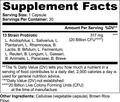 Daily Probiotic - 3 Pack
