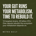 Daily Probiotic
