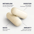 Daily Probiotic